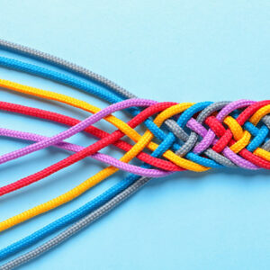 Integrated Reporting CPD Course