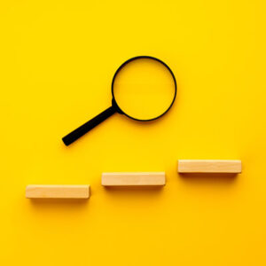 The Audit Process