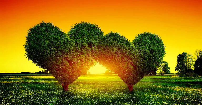Corporate Ethics, Governance and Sustainability