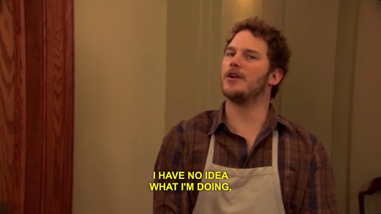 Andy from Parks and Recreation saying I have no idea what i'm doing
