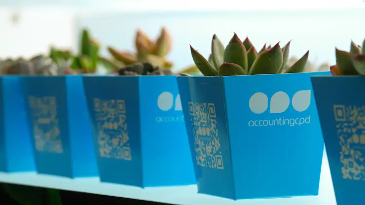 AccountingCPD Succulents