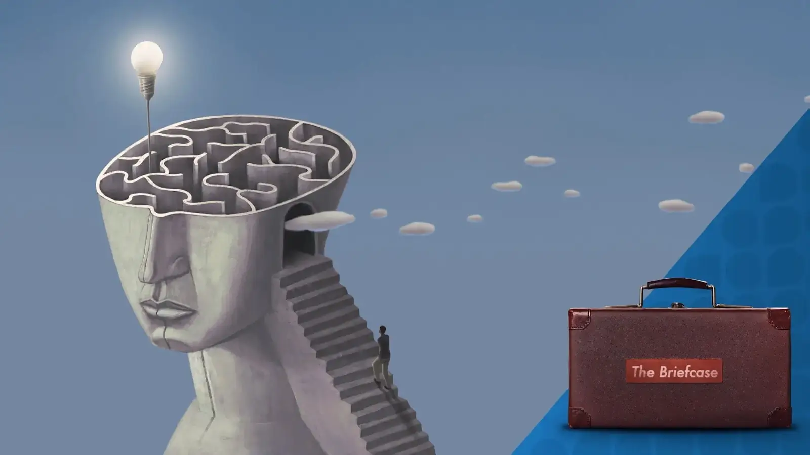 The Accountants Guide to Critical Thinking